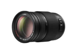 Panasonic 100-300mm f4.0-5.6 Zoom G Series Lens