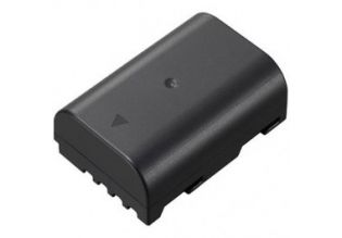 Panasonic DMW-BLF19 Battery