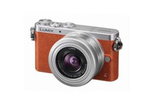 Panasonic Lumix DMC-GM1 + 12-32mm Lens (Tan)